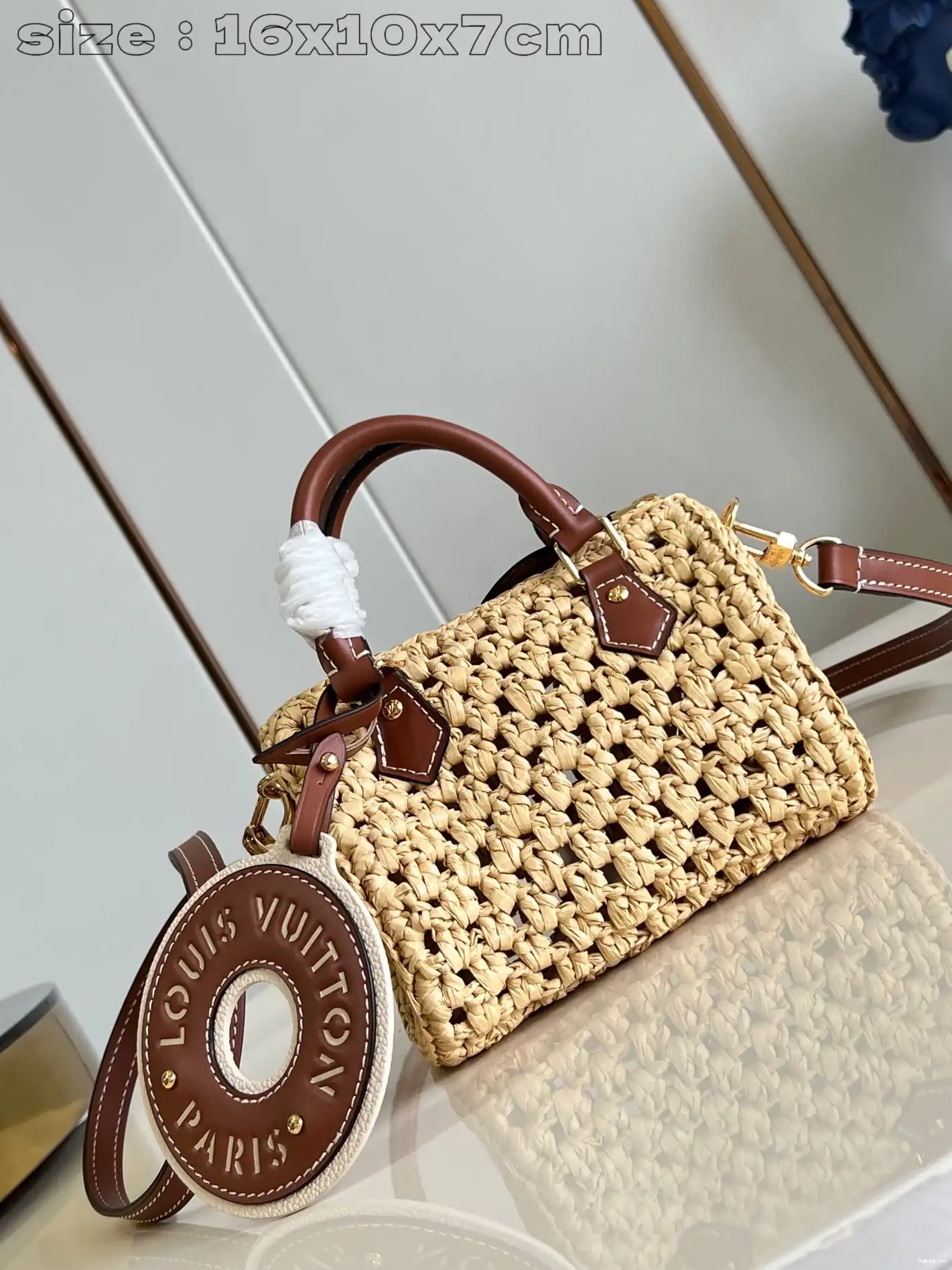 NANO SPEEDY-16-10-7.5cm LOUIS VUITTON 0523